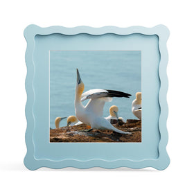 THKRLOF 8x8 frame front view in blue with wavy edge and clear glass