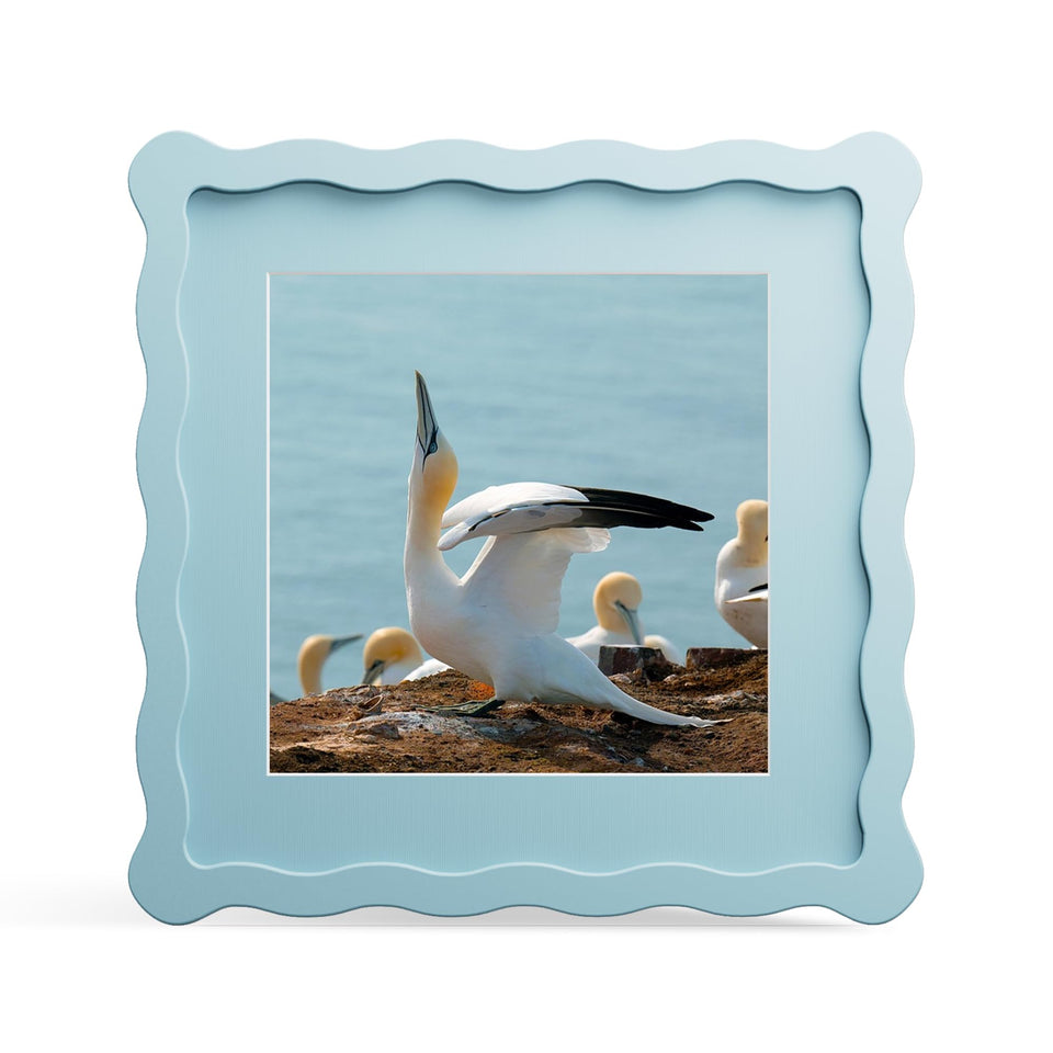 THKRLOF 8x8 frame front view in blue with wavy edge and clear glass