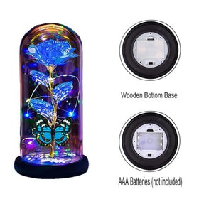 Thrjia rose inside dome with butterfly accent elevates gift presentation.