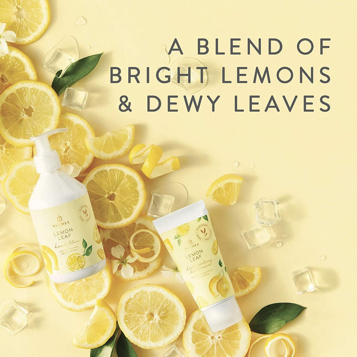 Lemon Leaf fragrance notes evoke bright citrus and greens.