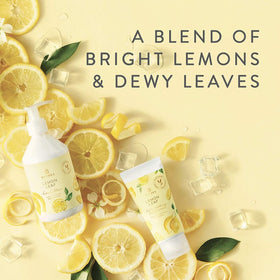 Lemon Leaf fragrance notes evoke bright citrus and greens.