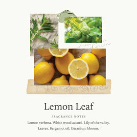 Close-up of Lemon Leaf refill bottle highlighting long-lasting citrus notes.