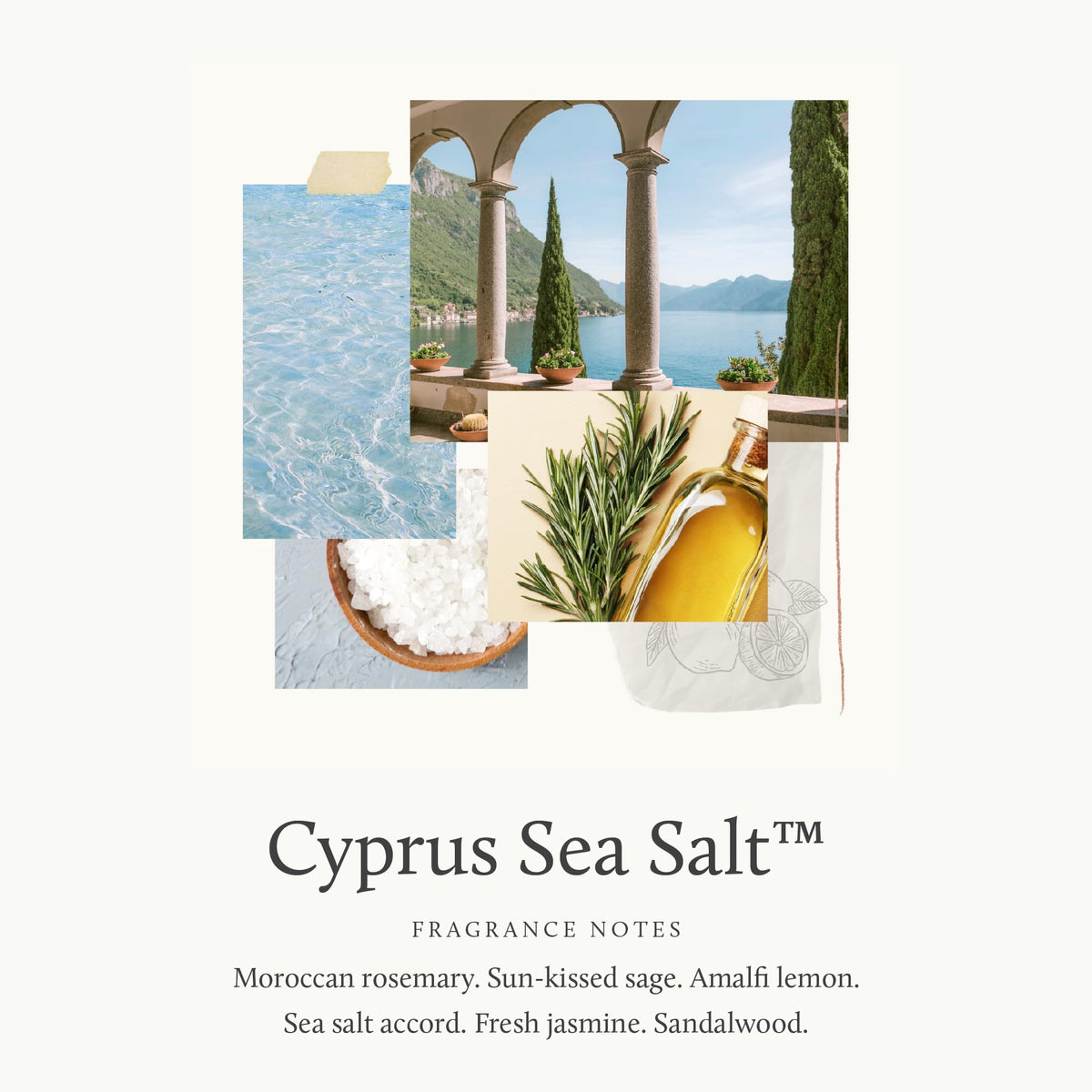 Thymes Pura refills Cyprus Sea Salt fragrance with rosemary and lemon notes.