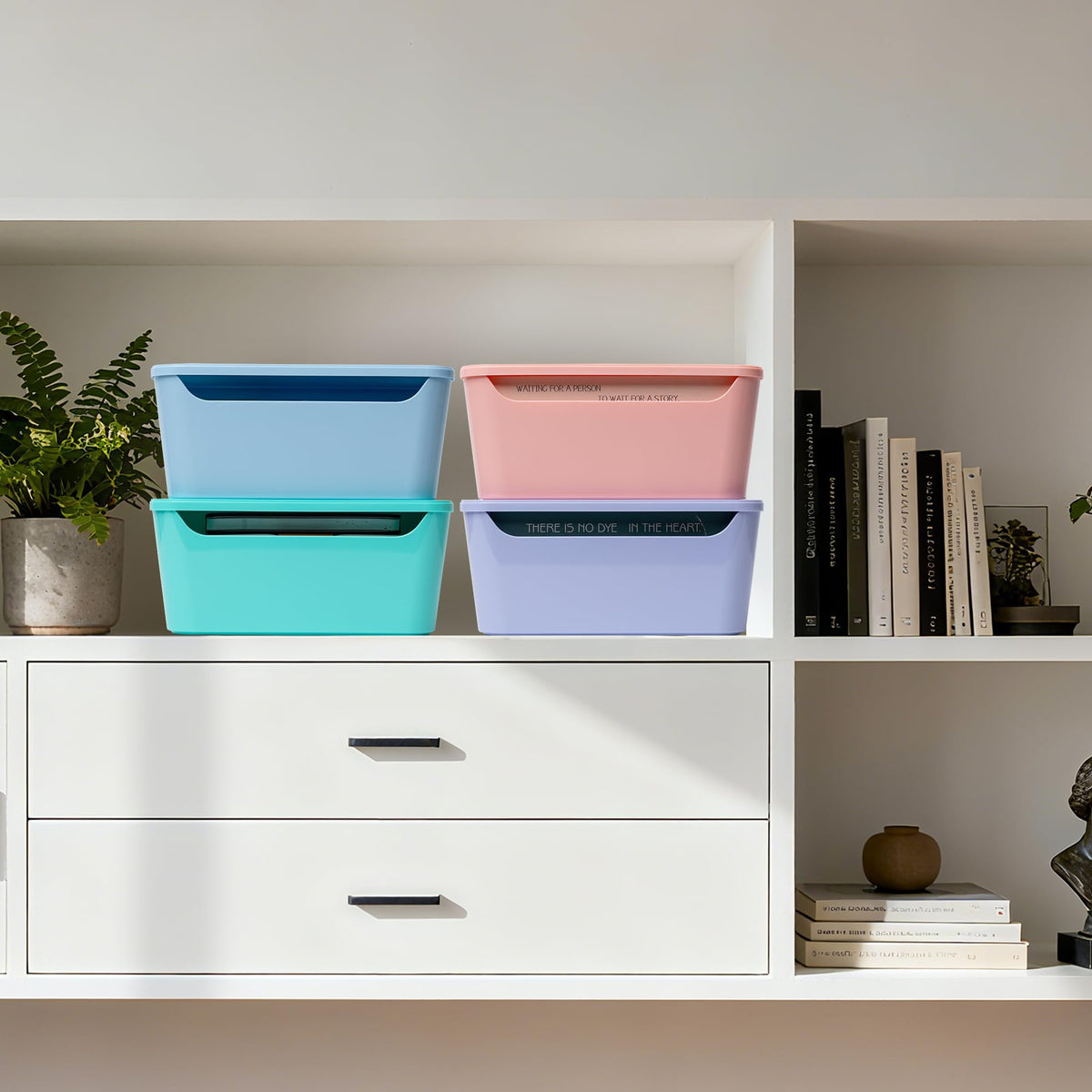 Tiawudi lifetime guarantee bins shown as durable organizers.