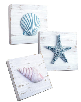Tide and Tales seashell 3D wall art adds coastal charm to any room