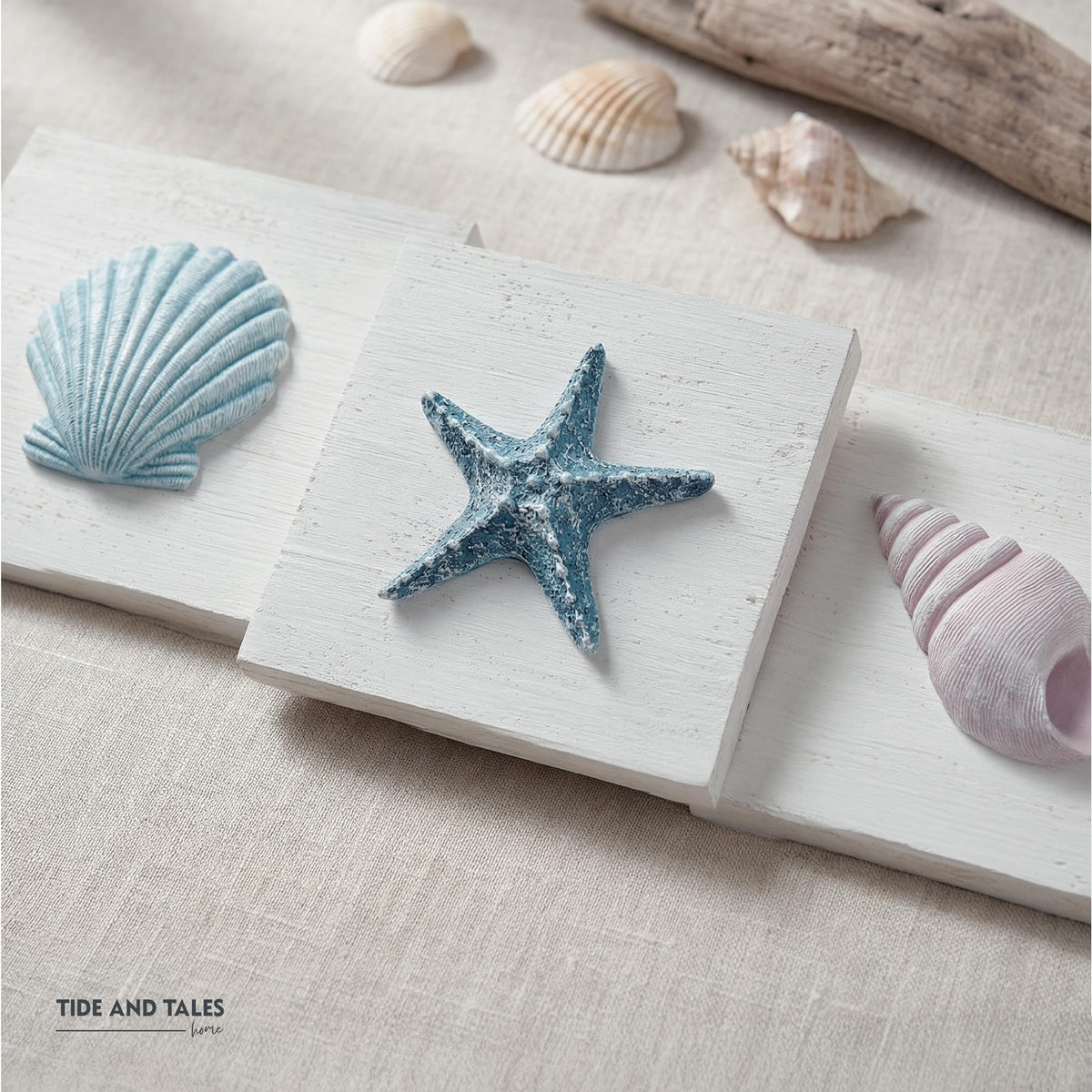 Tide and Tales starfish detail highlights seaside accents on walls