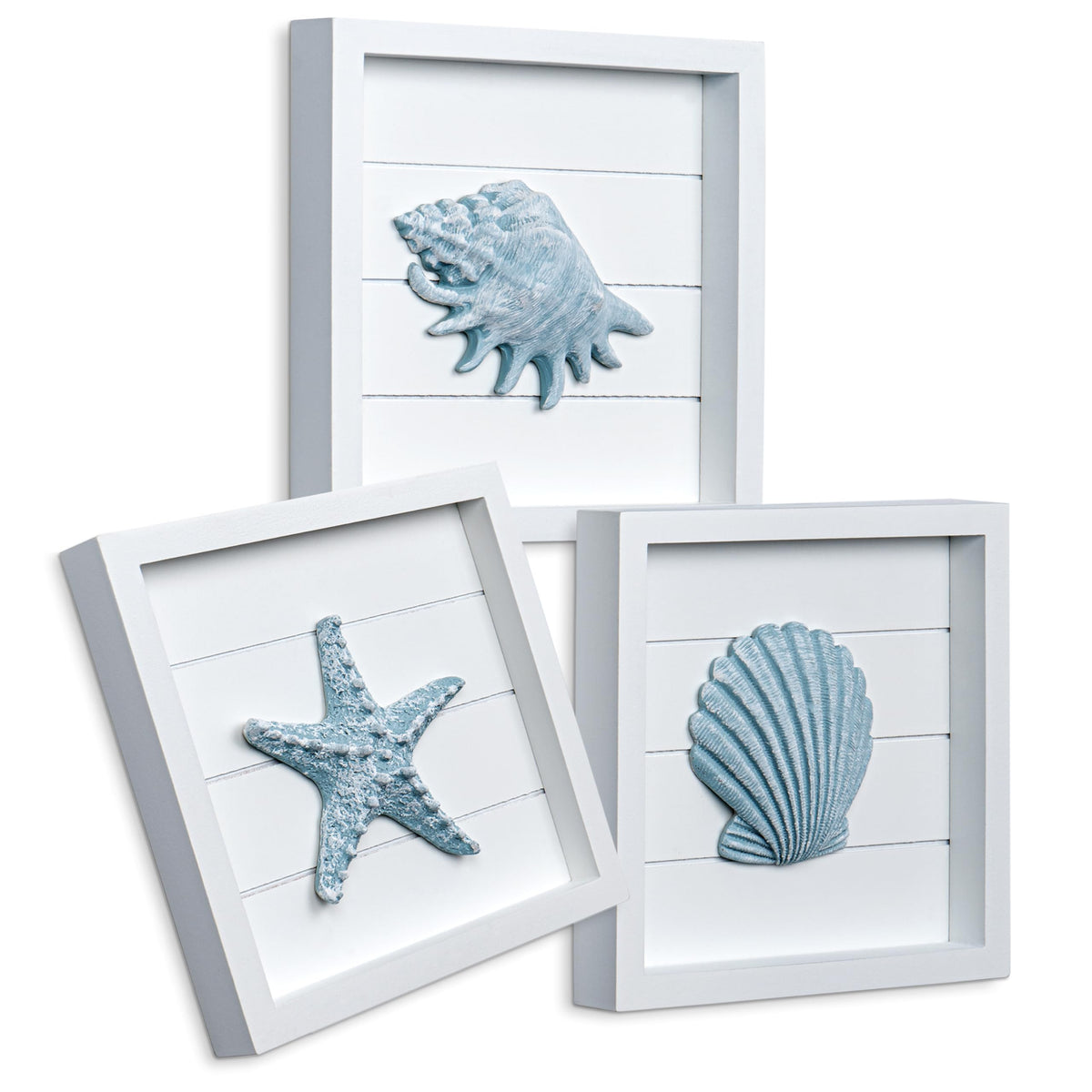 Tide and Tales blue seashells and starfish 3D wall art adds coastal charm to bathrooms or bedrooms