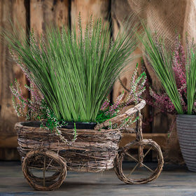 Tigeen ornamental grass for bedroom and office decor.