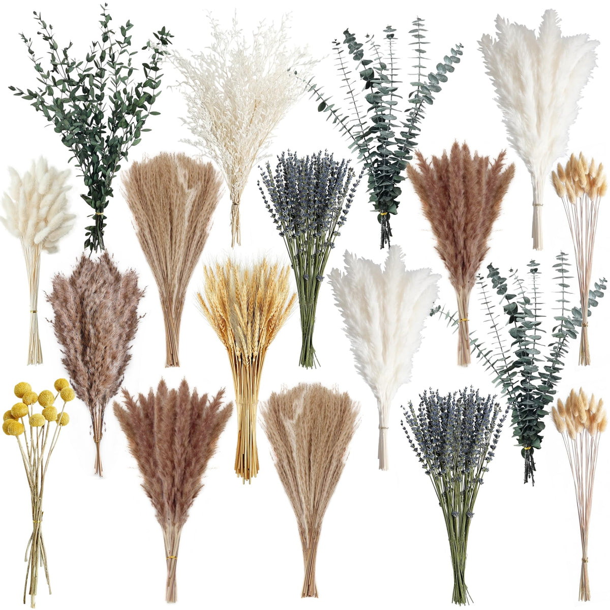 Tikaray 500PCS dried pampas bouquet in white and brown tones for elegant vase styling.