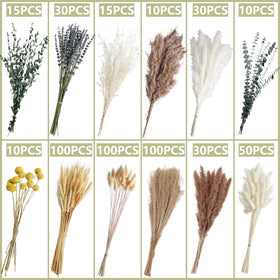 Tikaray dried eucalyptus and pampas arrangement adds natural texture to living spaces.