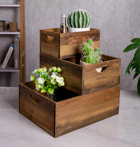 TIMRIS large nesting crate demonstrates substantial storage space in natural finish.