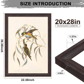 Tinkeps walnut frame with black back board secures posters and prints
