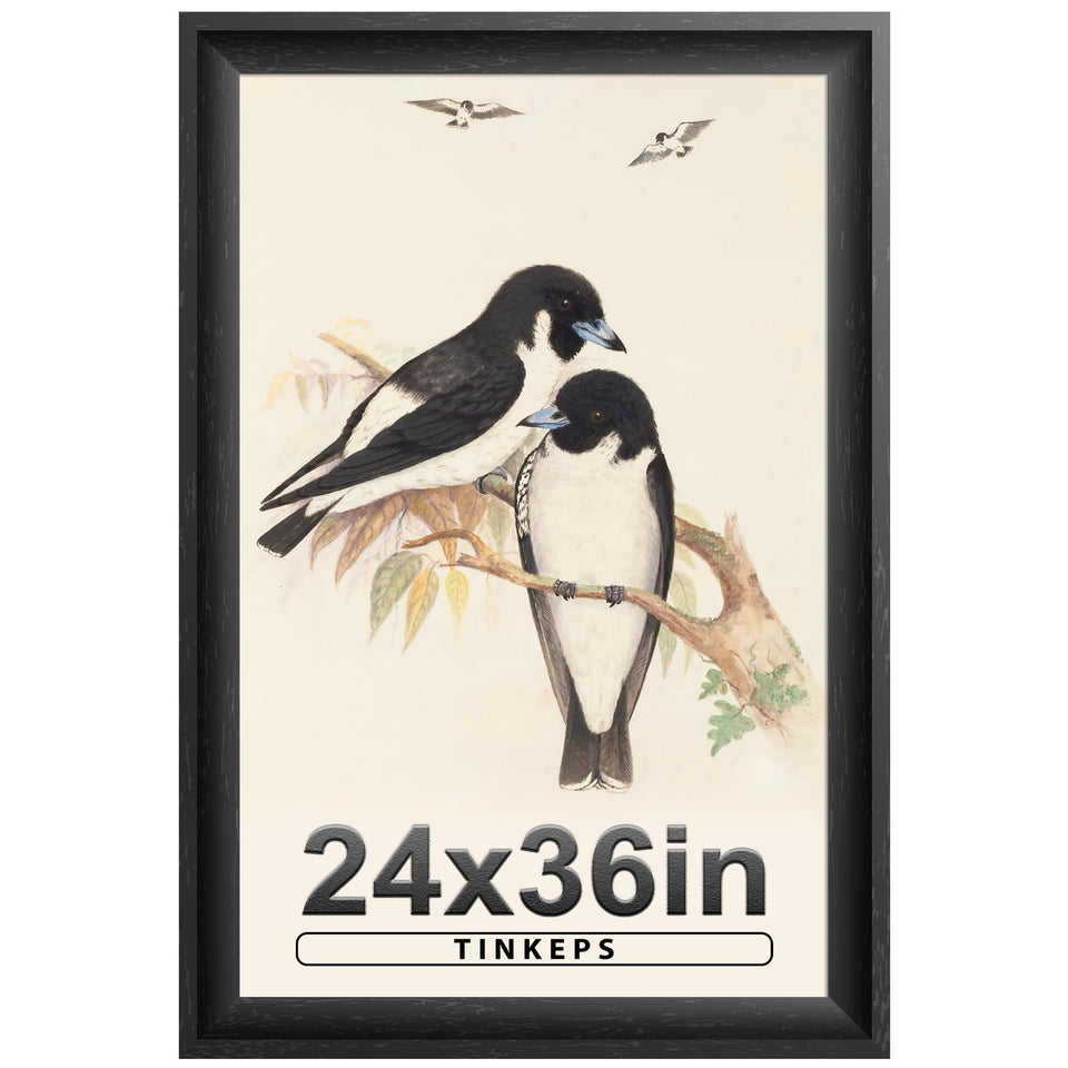 Tinkeps 24x36 black poster frame with curved edges for a refined wall display.