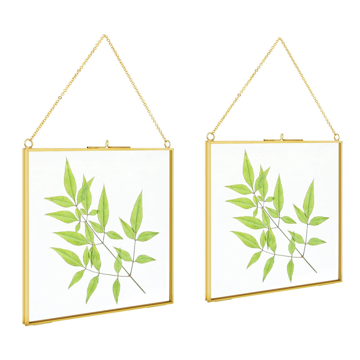 TLBTEK brass 8x8 frame front view for pressed flower display and DIY decor