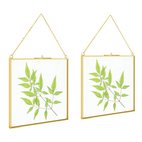 TLBTEK brass 8x8 frame front view for pressed flower display and DIY decor