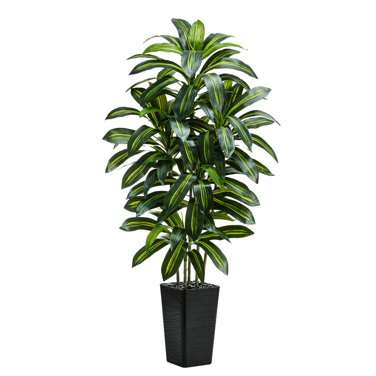 TNGGNT 6ft dracaena tree in full height suitable for spacious living rooms.