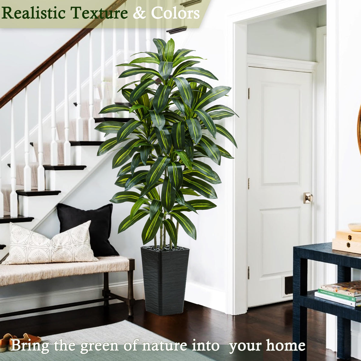 TNGGNT dracaena tree ideal for offices and living rooms.