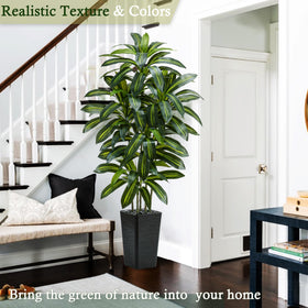 TNGGNT dracaena tree ideal for offices and living rooms.
