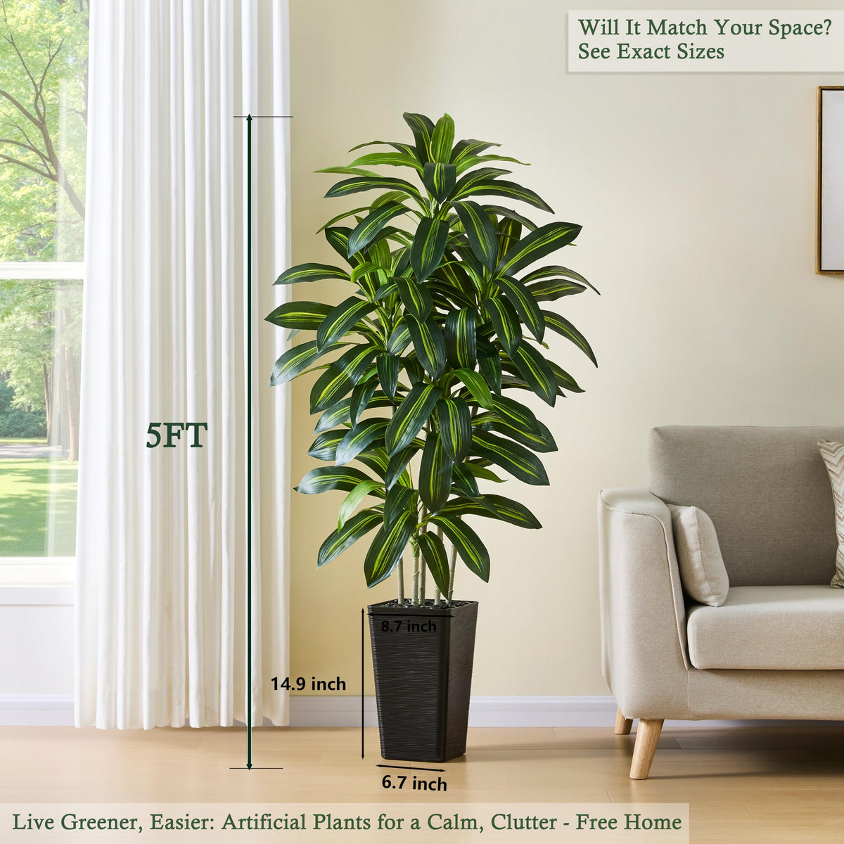 TNGGNT dracaena tree leaves close-up showing realistic texture and color depth.