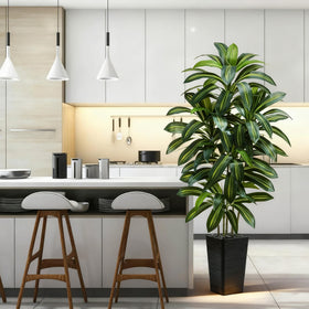 TNGGNT dracaena tree in a bright living room setup for calm ambiance.