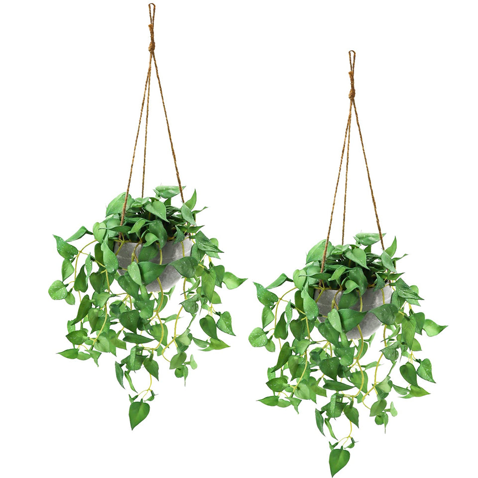 TNNTOPELE hanging plant 2-pack with pots offers lush indoor decor.