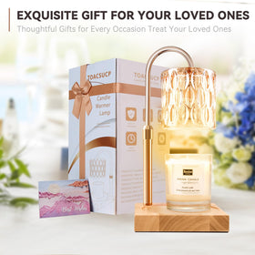 TOACSUCP candle warmer lamp in living room adds warm ambience.