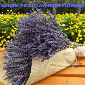 TOMOON dried lavender bouquet side-view highlights long stems ideal for elegant centerpieces.