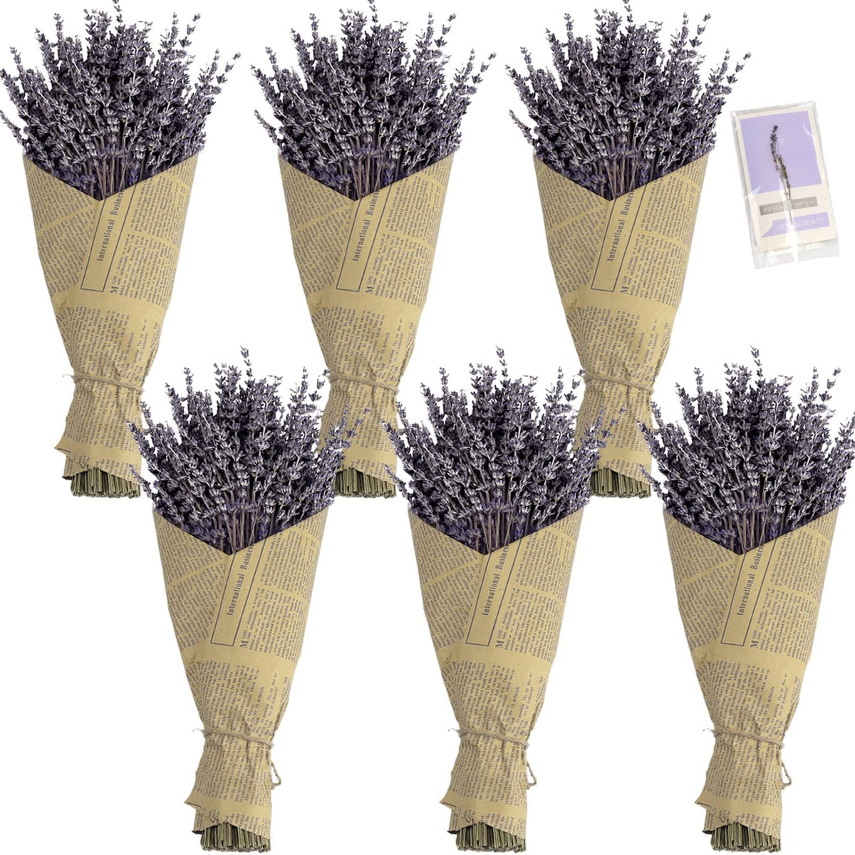 TOMOON dried lavender bouquet in a vase adds natural color and subtle fragrance for living spaces.