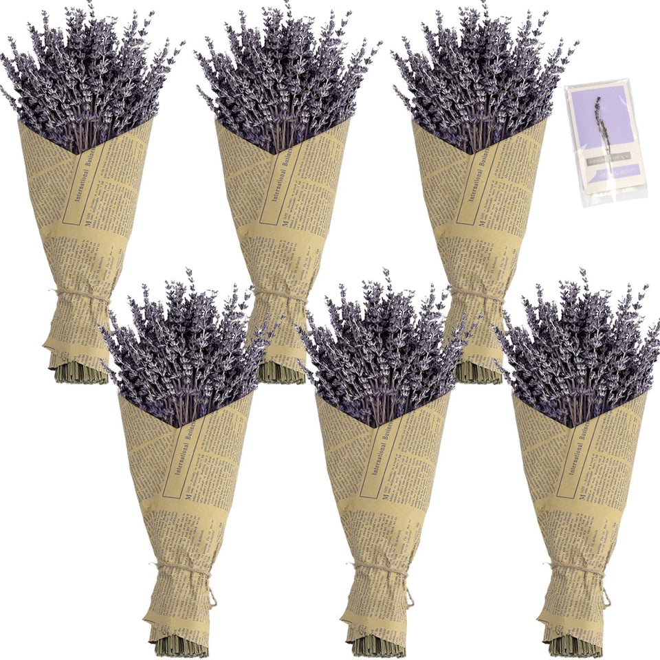TOMOON dried lavender bouquet in a vase adds natural color and subtle fragrance for living spaces.