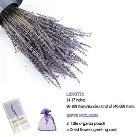 TOMOON dried lavender bouquet close-up shows natural buds and soft purple hue.