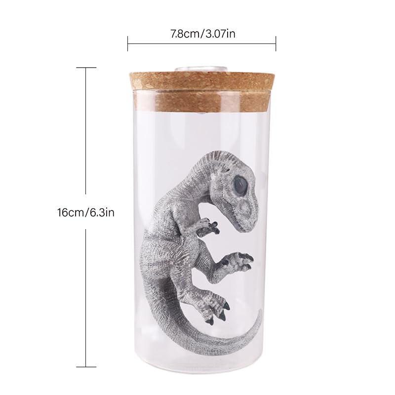 TONGQIC home decor ornament blends science interest with stylish lighting