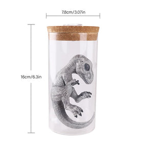 TONGQIC home decor ornament blends science interest with stylish lighting