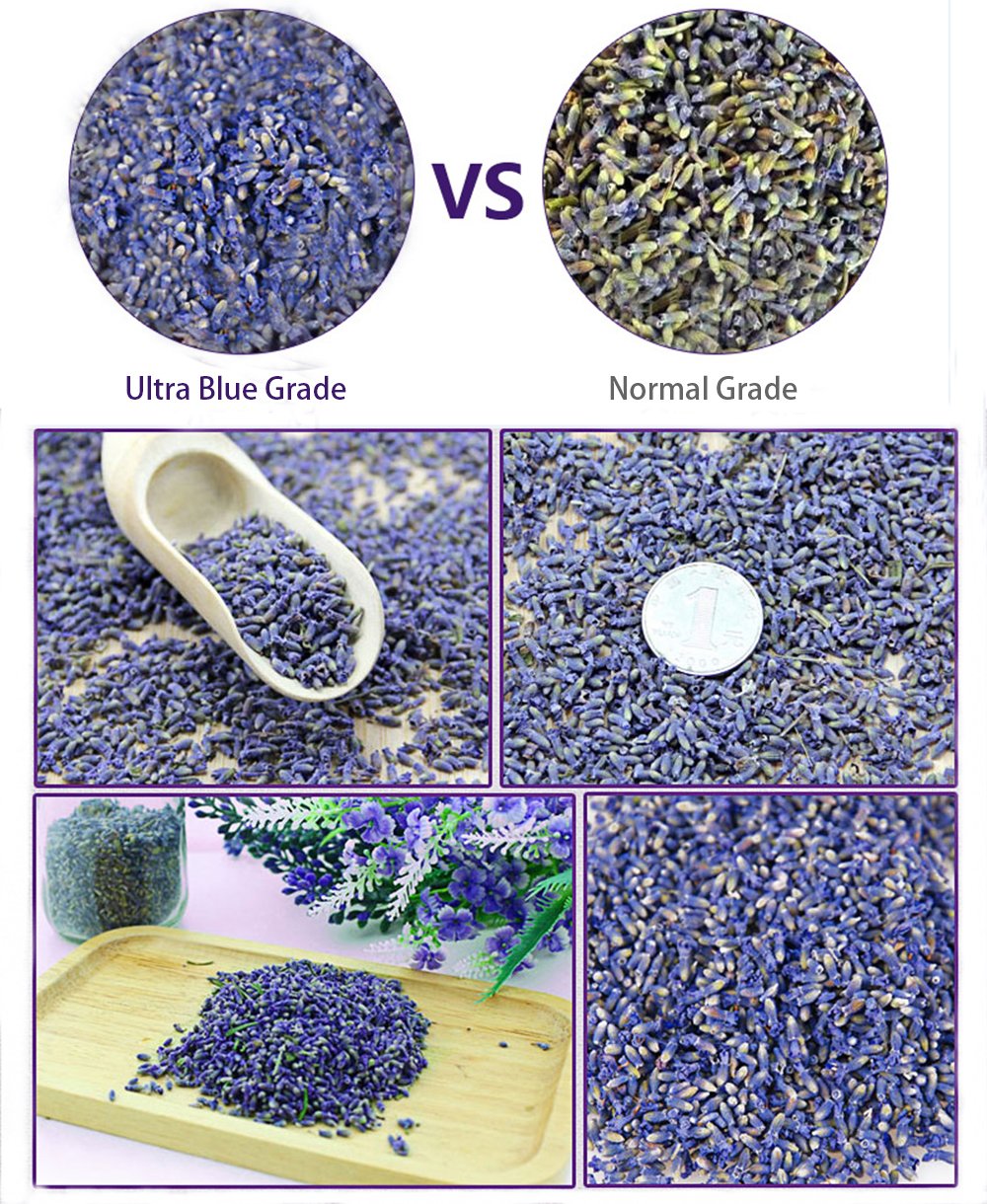 TooGet natural lavender flowers 2 lb ideal for pillows and baths.