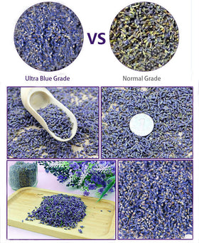TooGet natural lavender flowers 2 lb ideal for pillows and baths.