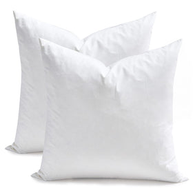 TOPGREEN 18x18 feather down inserts in front view show two-pack sofa decor