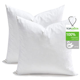 Topgreen feather-down throw pillow insert 20x20 in white, two-pack, plush and supportive.