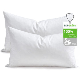 TOPGREEN pillow insert 12x20 pack-2 for plush sofa look