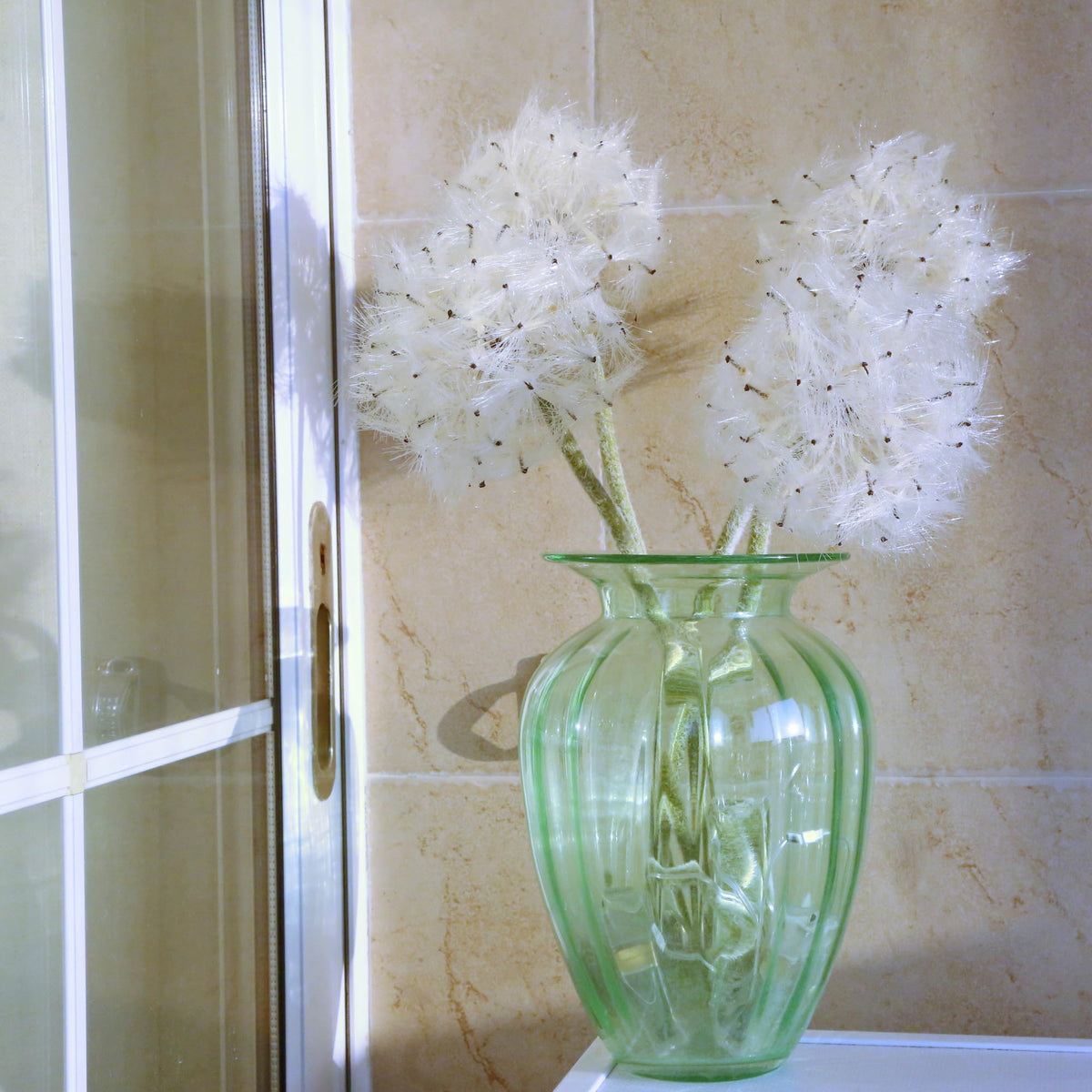 TOPIA dandelion diy arrangement friendly white for crafts