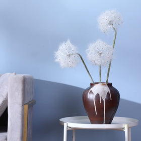 TOPIA dandelion flower head closeup white showing soft bloom