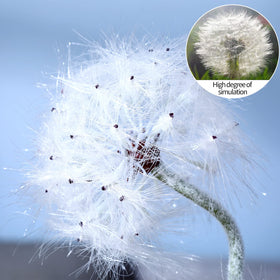 TOPIA dandelion large size 20.5in white stands out