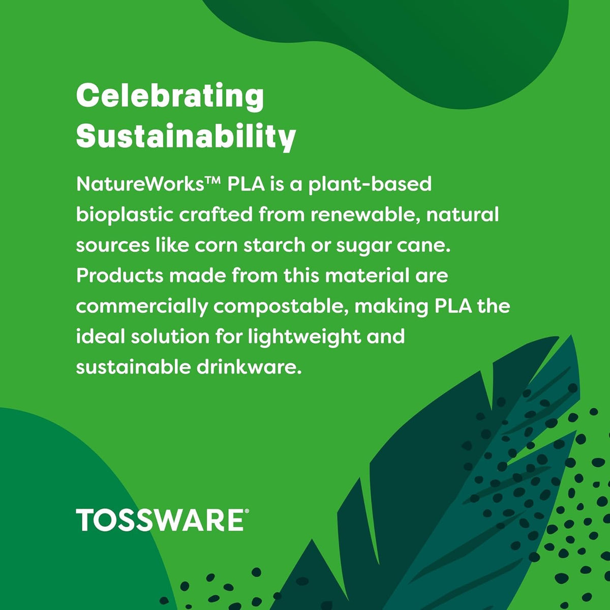 TOSSWARE Natural Arena square-base—versatile design complements table settings.