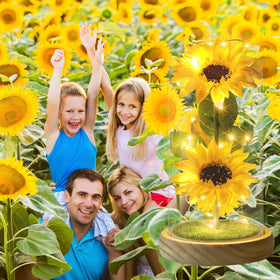 Touloube artificial sunflower in glass dome enhances shelves and living spaces.