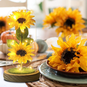 Touloube decorative lighting gift suitable for birthdays and anniversaries.