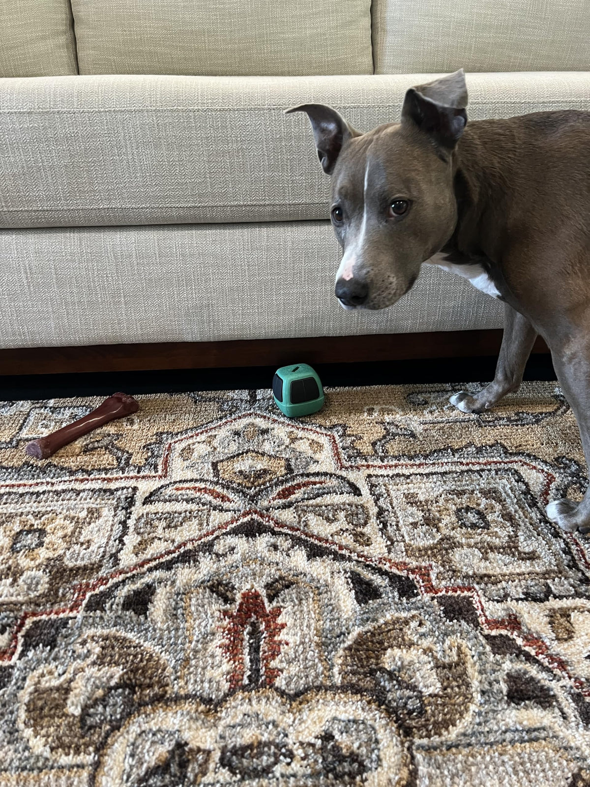TOY BLOCKER under couch setup demonstrates easy installation and reliable gap protection.