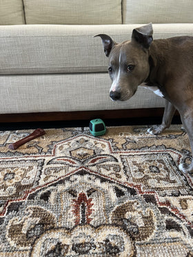 TOY BLOCKER under couch setup demonstrates easy installation and reliable gap protection.