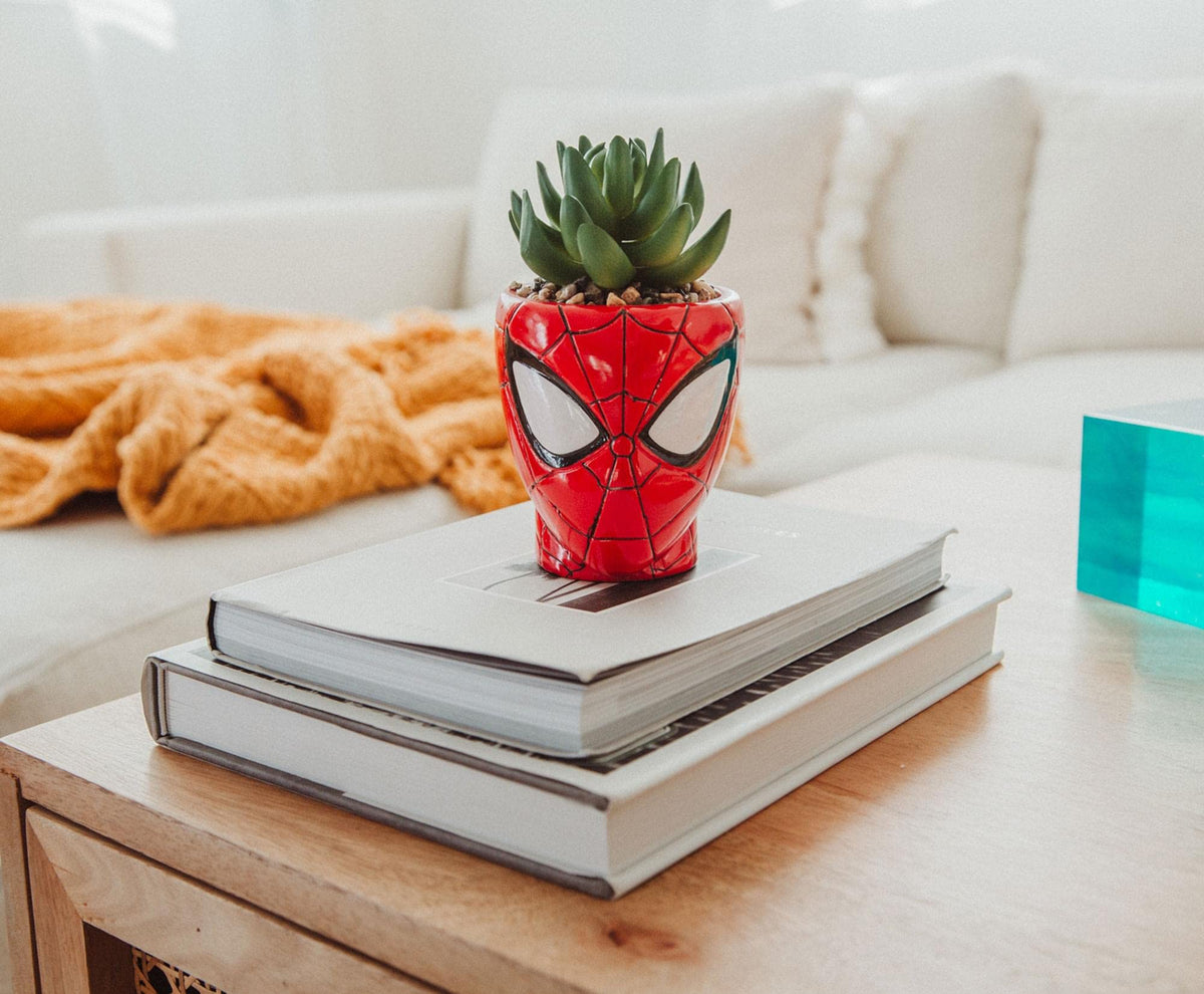 Toynk Marvel Spider-Man planter ready to pair with other decor items.