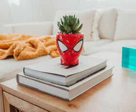 Toynk Marvel Spider-Man planter ready to pair with other decor items.