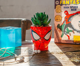 Toynk Spider-Man 3-inch planter showing sculpted base and color.