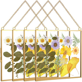 Treela 4-piece glass frame for 8x8 pressed flower display, ideal for cohesive wall decor.