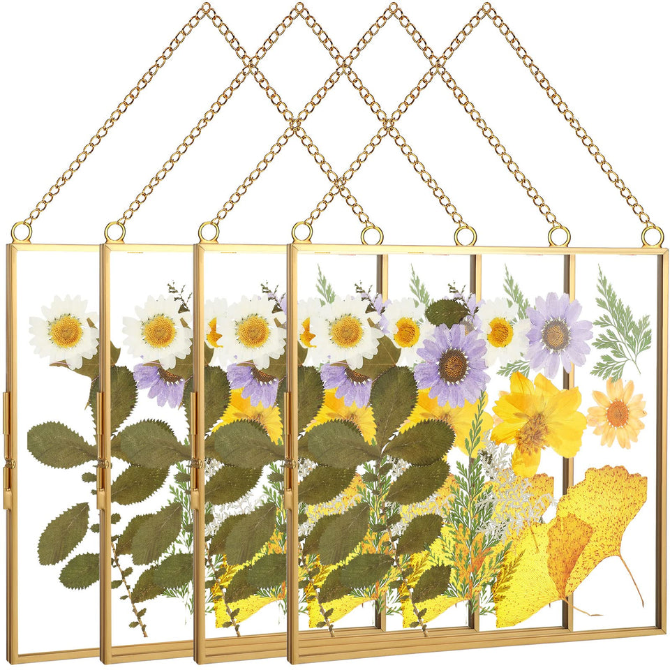 Treela 4-piece glass frame for 8x8 pressed flower display, ideal for cohesive wall decor.